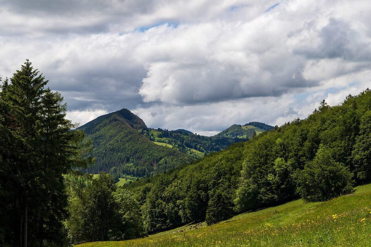 Absolute at The Beach Samui