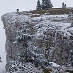 Acoya Hotel Suites & Villas