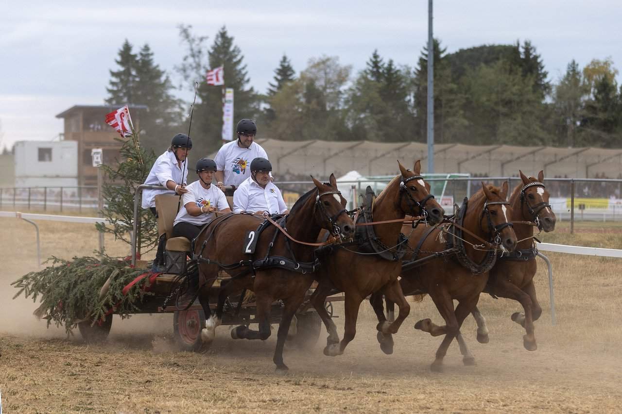 Adagio Nice Promenade des Anglais