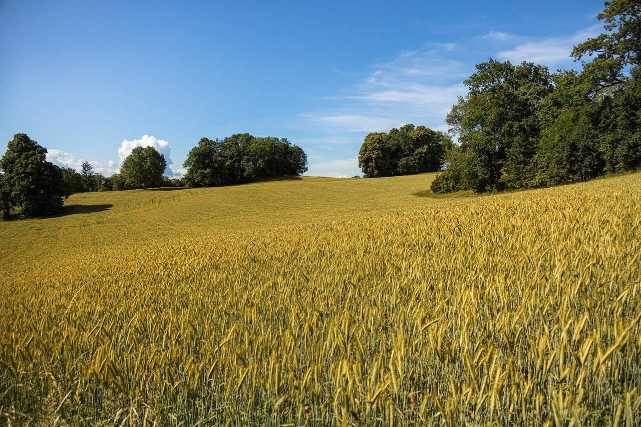 Apart Holidays - Residenza Flora