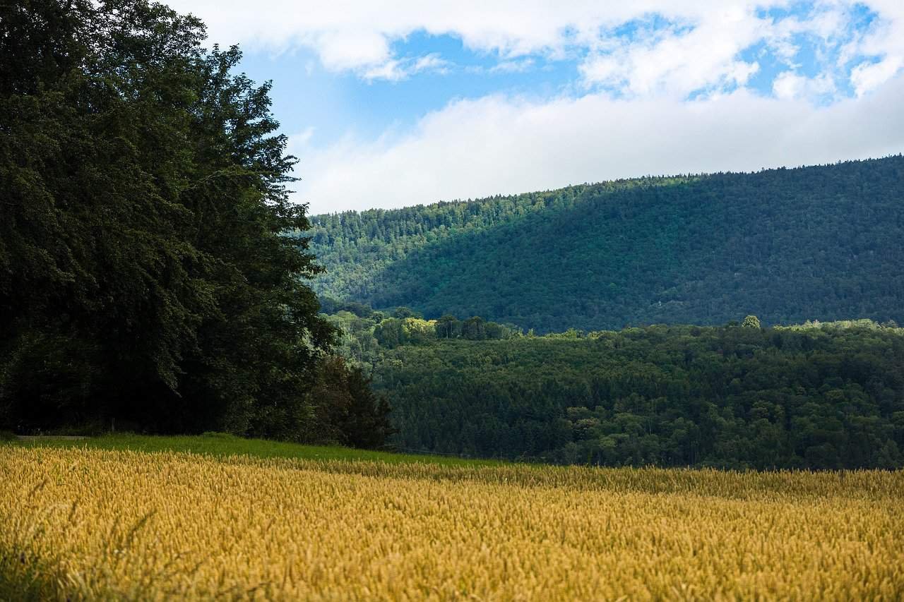 Aparthotel Adagio Paris Buttes Chaumont