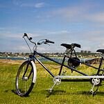 Araça Flat Beira Mar by IMG