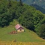 Blaxy Premium Resort