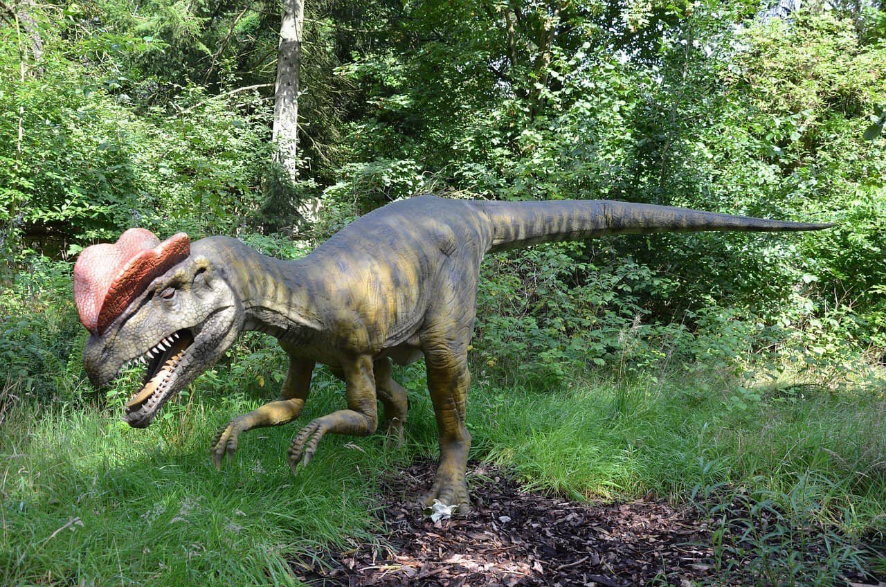 Cameron House on Loch Lomond