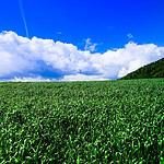 Casablanca Golf Beach