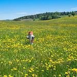 Club Asia International – Damai Beach Resort