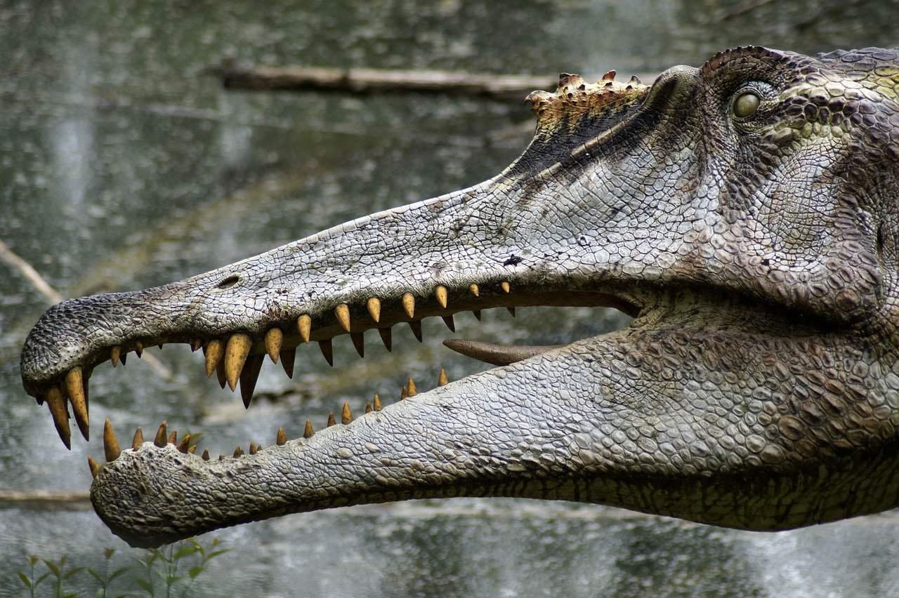 Club Chalet of Gatlinburg