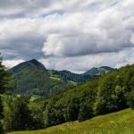 Coconut Palms Beach Resort I