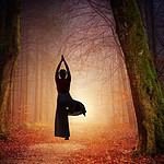 Coral Coast Resort Palm Cove, Accor Vacation Club Apartments