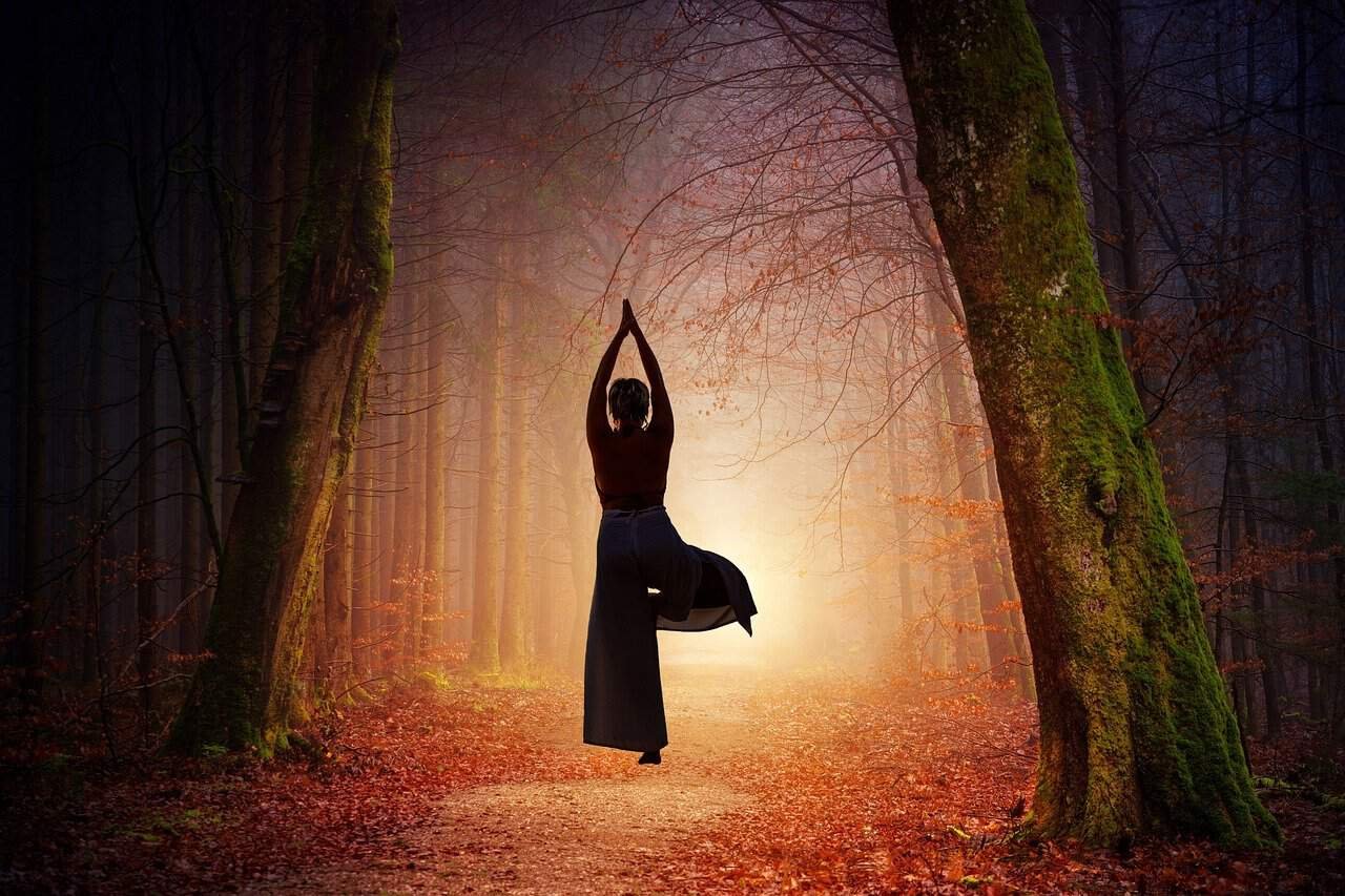 Coral Coast Resort Palm Cove, Accor Vacation Club Apartments