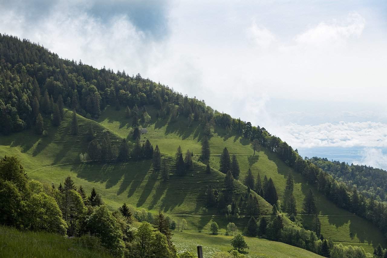 Country Club Ibipozo 4 Nights