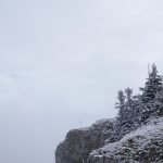 Divi Flamingo Beach Resort and Casino All-Inclusive.