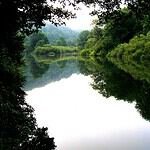 EDO at Ona Jardines Paraisol