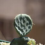 Estancia Apartur Mar del Plata