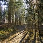 Hollywood Sands Resort