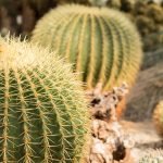 Hyatt Residence Club Lake Tahoe, Northstar Lodge