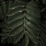 Jupiter Beach Resort and Spa