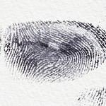 Marriott’s Club Son Antem