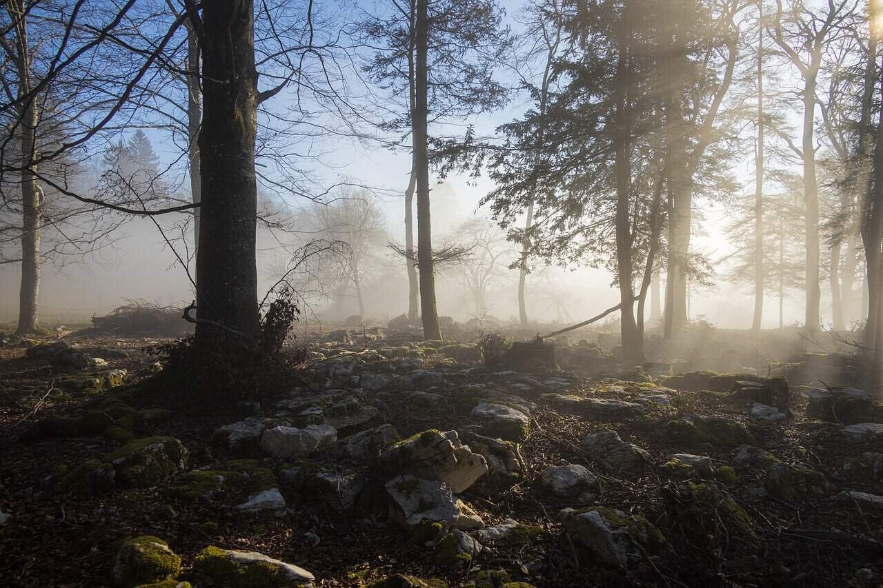 Marriott's Cypress Harbour