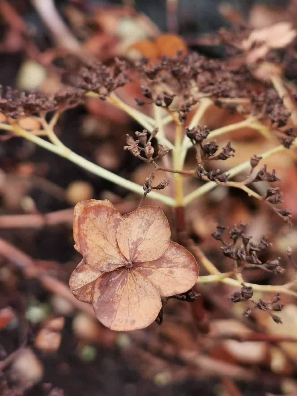 Marriott's OceanWatch at Grande Dunes®