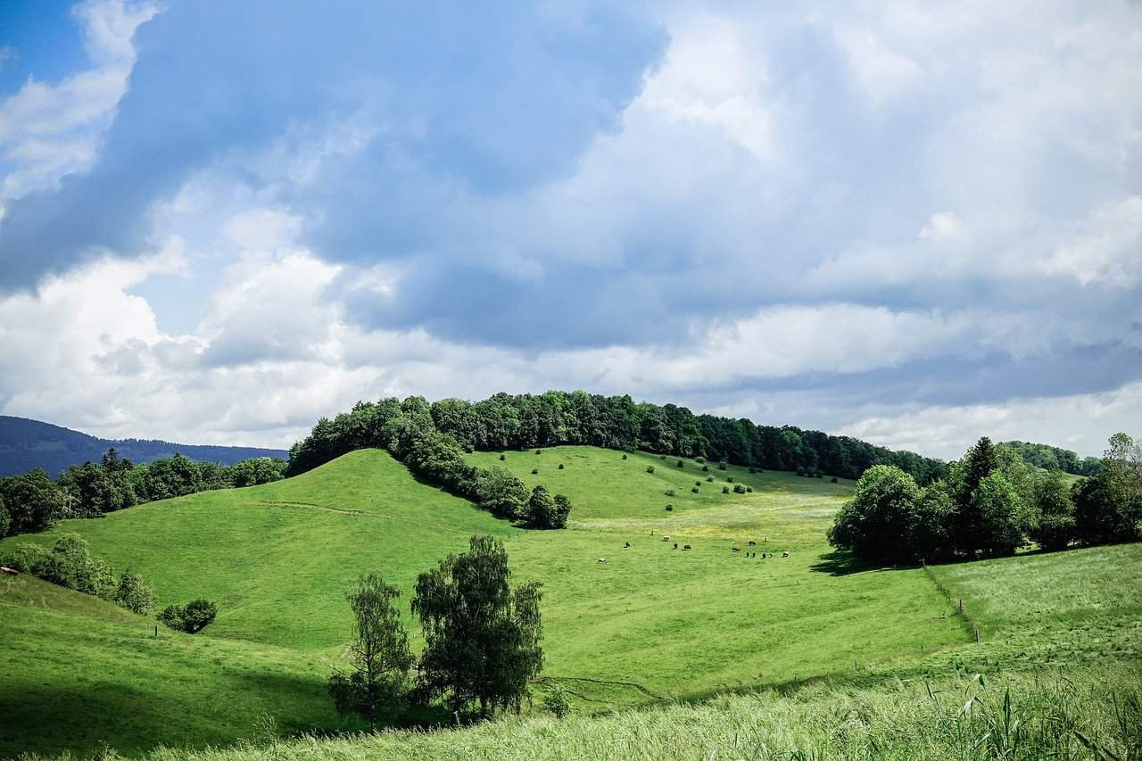 Mountainside Lodge and Shell Vacations Club at Mountainside Lodge