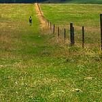 Oaks Seaforth Resort