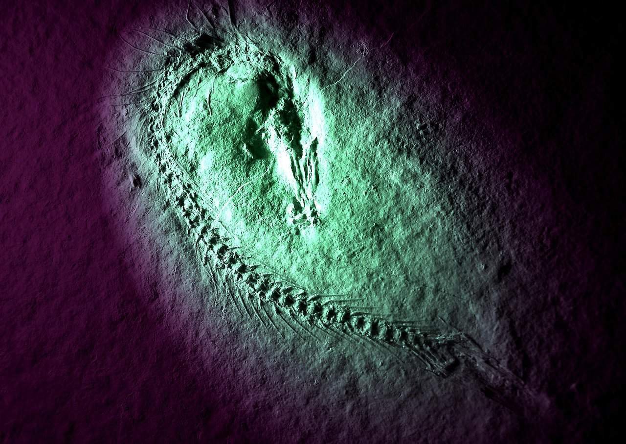 Ocean Club at Atlantic Beach