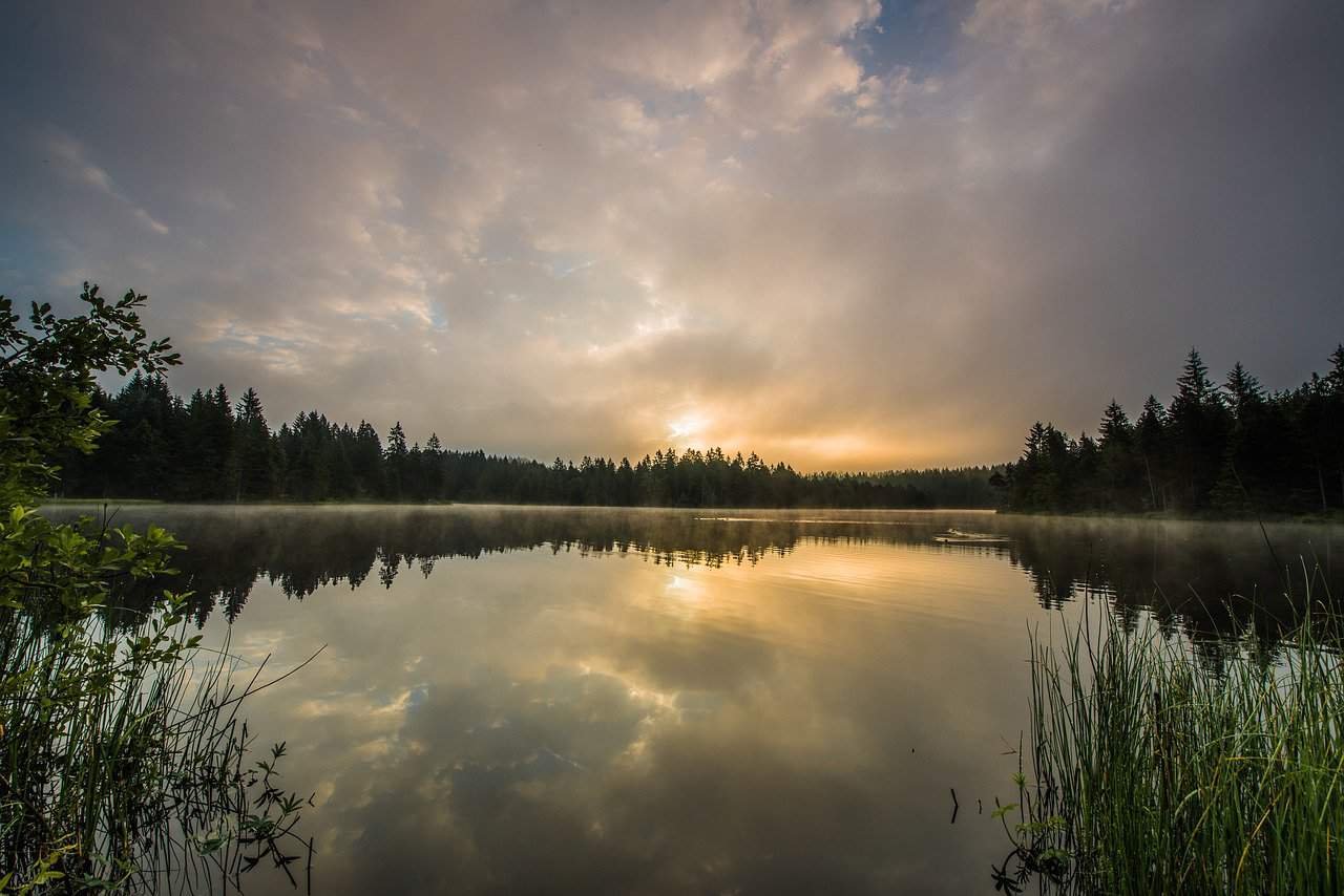 Palm Beach Holiday Club