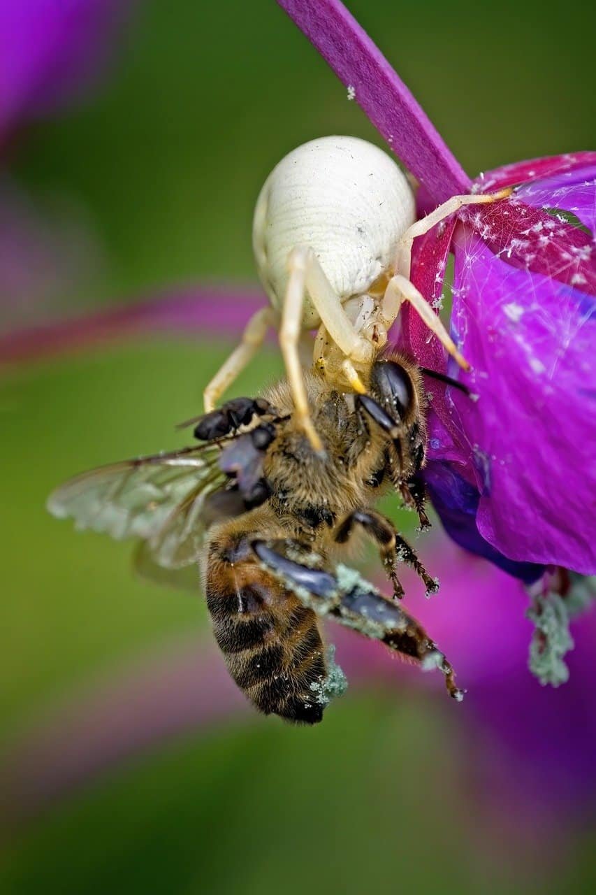 Parador Resort & Spa