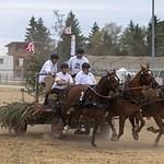 Passporto at Porto Sokhna