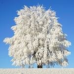 Peninsula Beach Resort