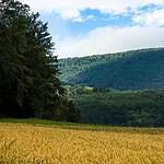 SGI Vacation Club at Damai Laut Resort