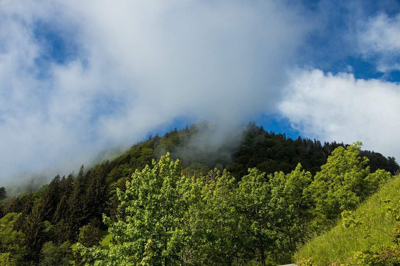 Sierra Nevada Sports Club