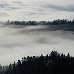 Surfsider Resort and Tennis Club