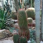 Szalajka Liget Hotel & Apartment Houses