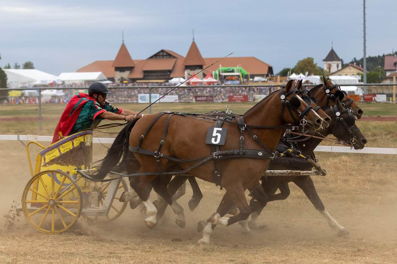 The Alpine Club - Rental