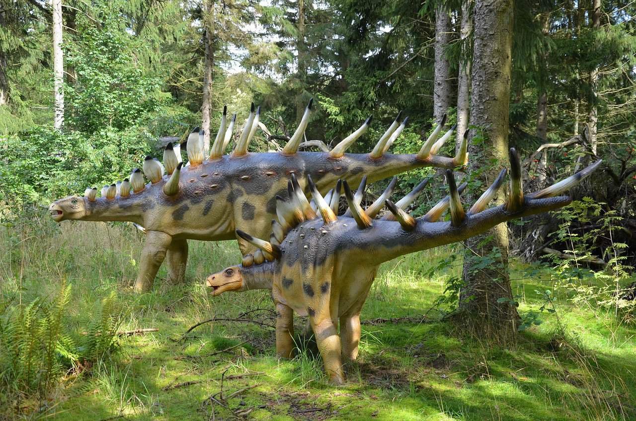 The Grand Mayan Los Cabos