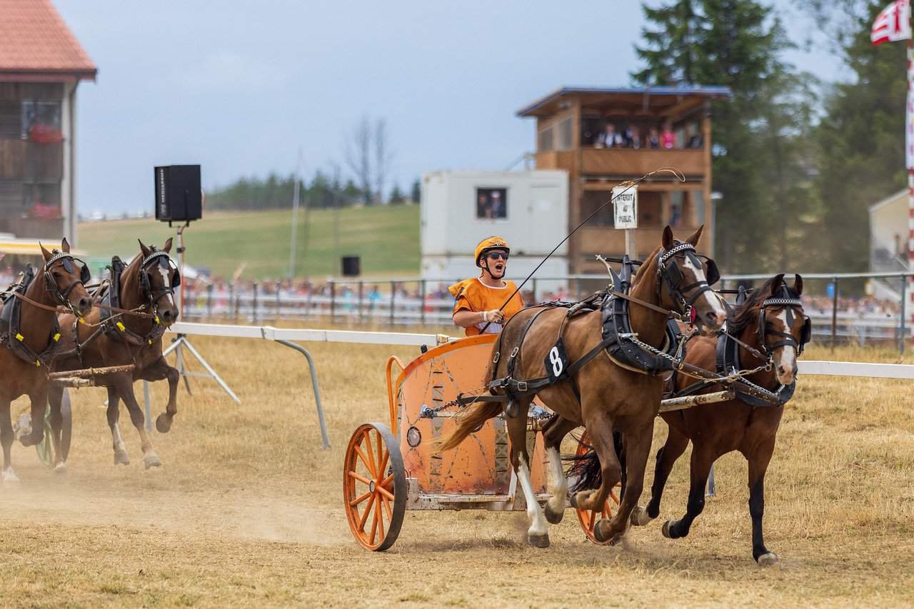 The Landing at Seven Coves