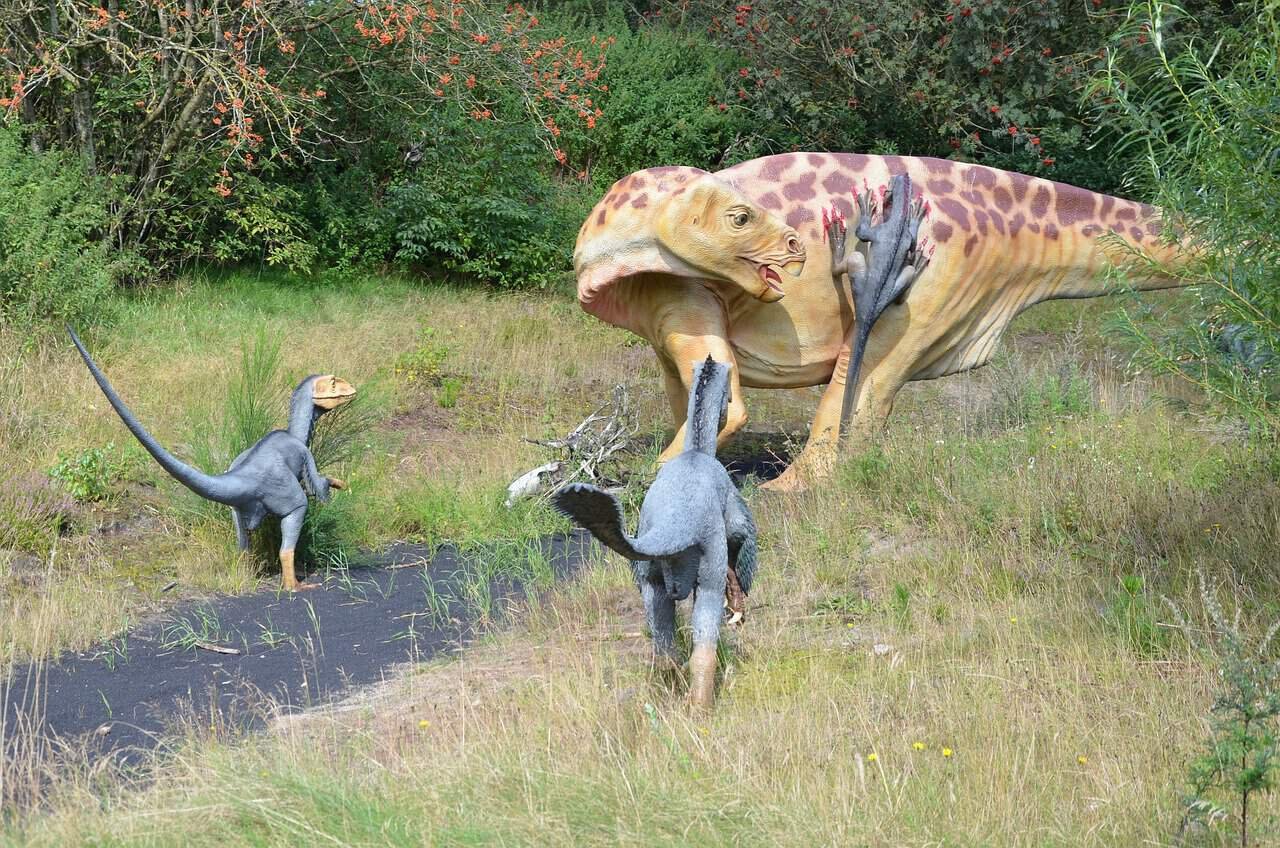 The Lodges at Cresthaven