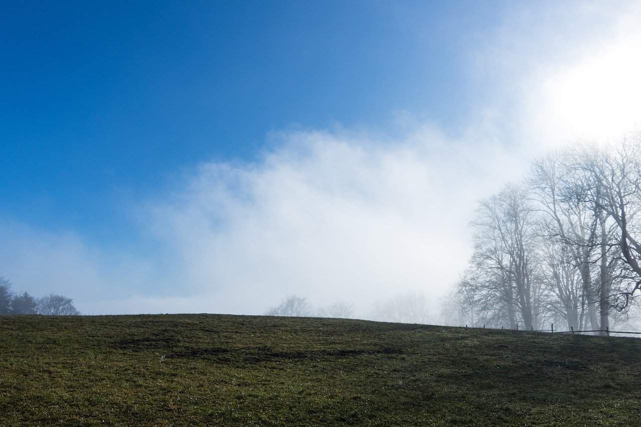 The Sanctuary Condominiums at Playa Azul