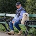 The Sebel Darling Harbour The Pinnacle