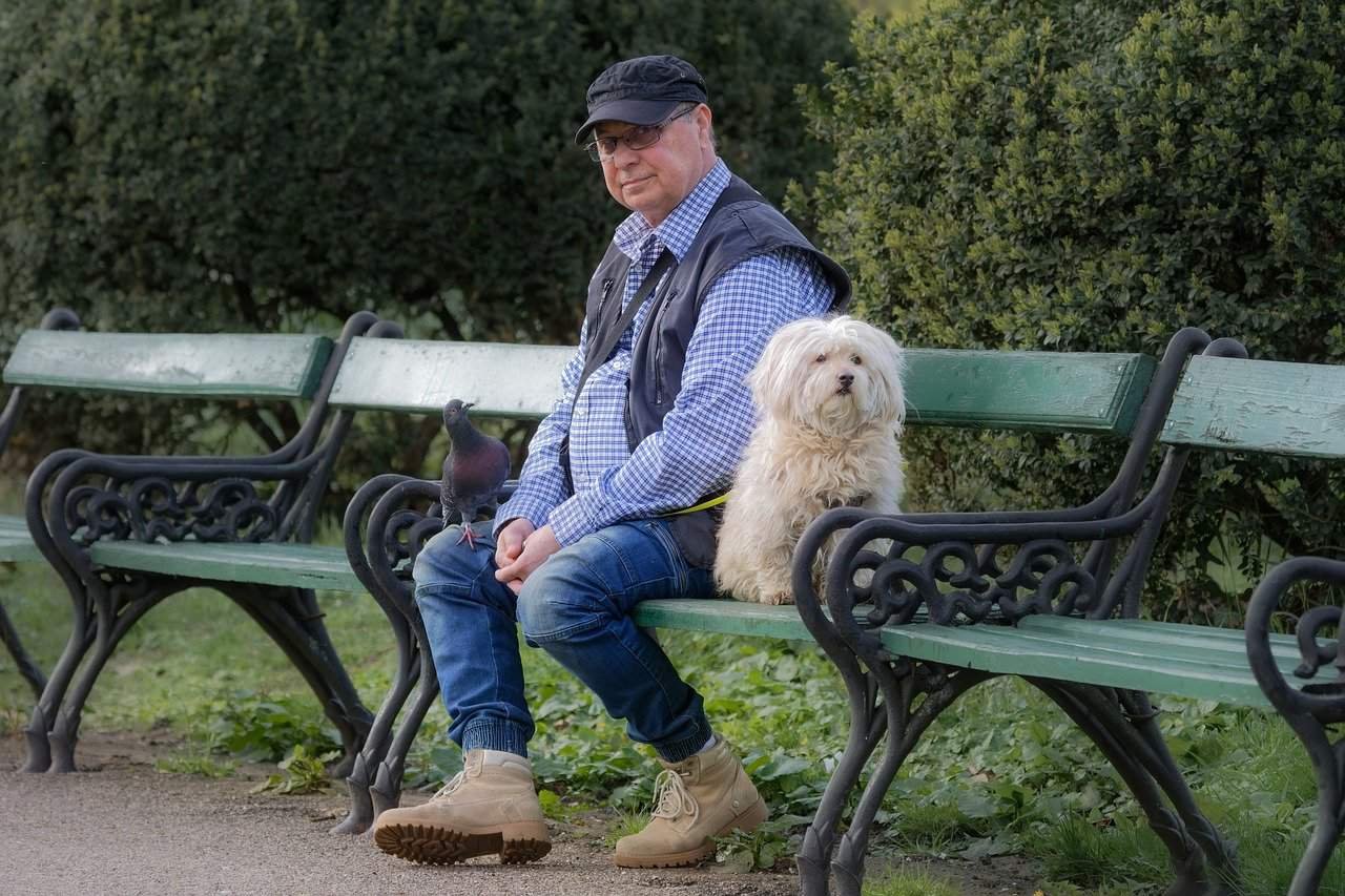 The Sebel Darling Harbour The Pinnacle