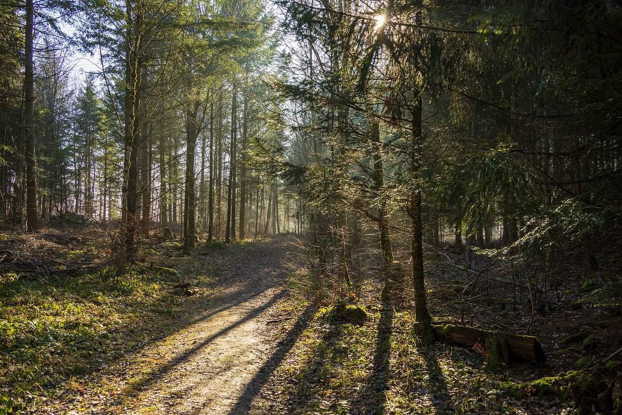 The Windjammer at Nags Head