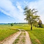 Vacation Internationale – Pinnacle Lodge