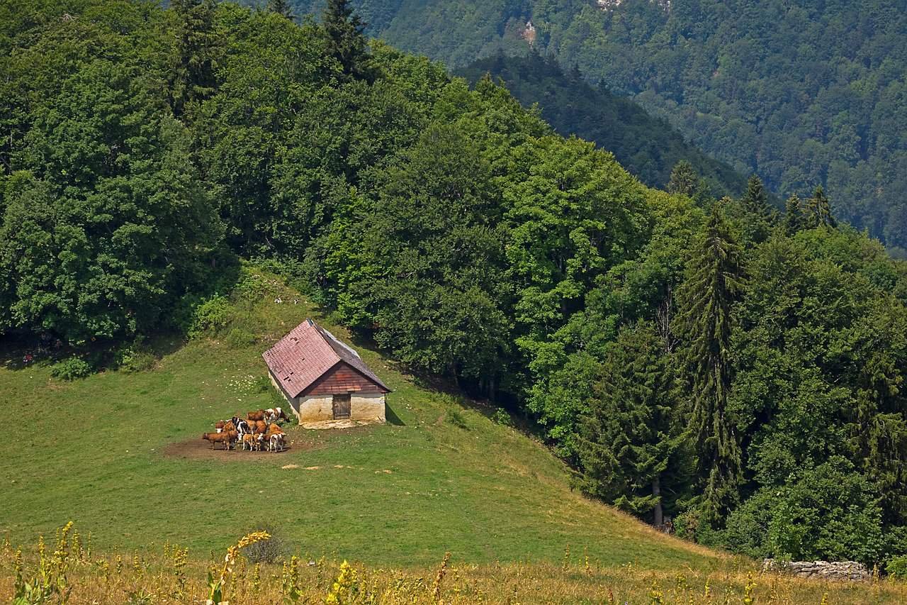 Westgate Historic Williamsburg